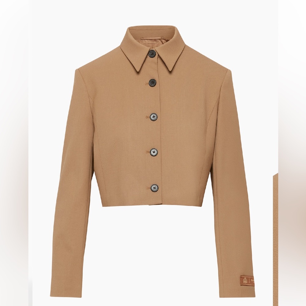 Aritzia Babaton lined short jacket